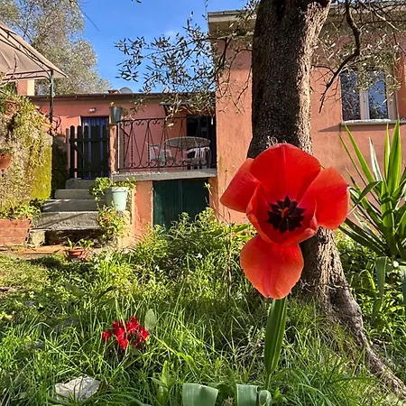 Vakantiehuis La Gaiada *