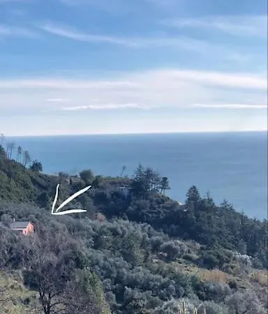 La Gaiada Nyaraló *