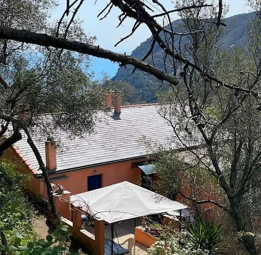 La Gaiada